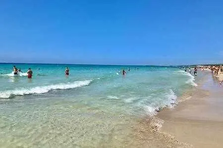 Apartment En Planta Baja Junto La Playa *